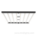 Low Price 600W 8bar LED Grow Plant Light